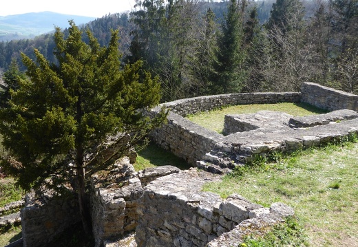 Ruine Alt Tierstein