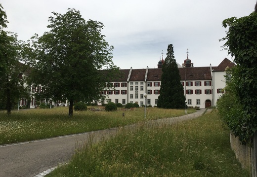 Rheinau