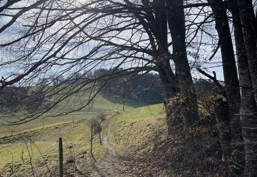 Spycherweg
