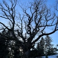 Heimenschwand