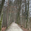 IMG_3750_v1