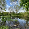 Elfenau 29 avril 2023