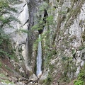 IMG_3091_v1