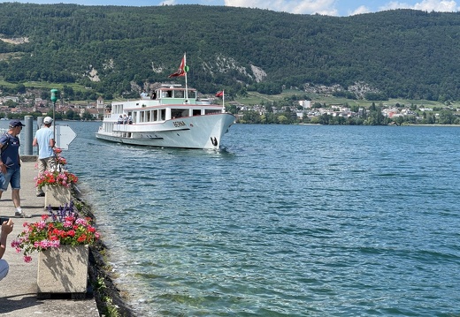 Île St-Pierre, Juin 2023