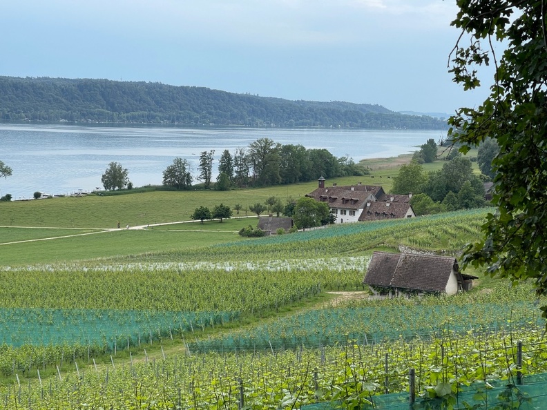 Île St-Pierre, Juin 2023
