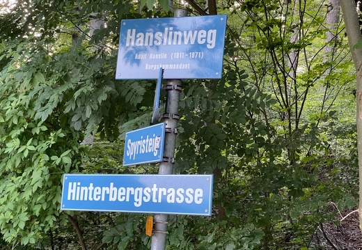 Züriberg - juin 2023
