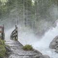 IMG 9774