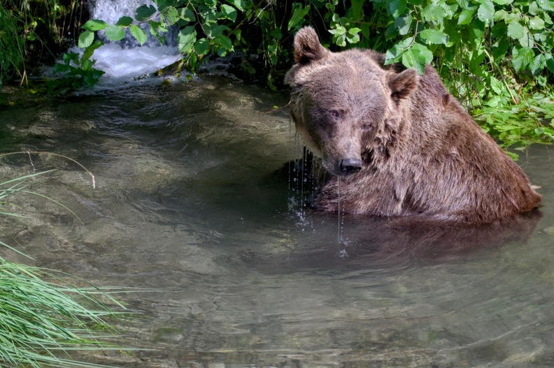 ours